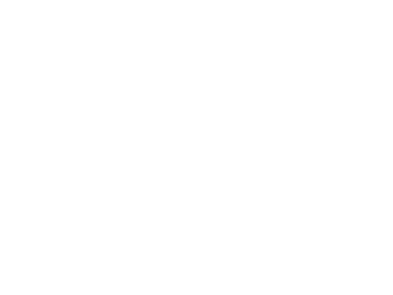 Mobiwin Vendor IT Solution